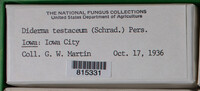 Image Associated With the Occurence